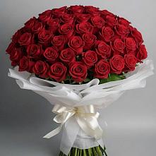 Букет 101 Красная роза Блэк Мэджик в Каа-Хеме
