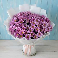 Букет цветов из:  Хризантемы в Каа-Хеме