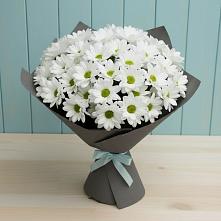Букет цветов из:  Хризантемы #REPLACE_PRED# Каа-Хеме