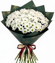 Букет цветов из:  Хризантемы в Каа-Хеме