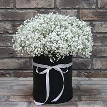 Цветочная композиция из Гипсофила в шляпной коробке #REPLACE_PRED# Каа-Хеме