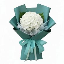 Букет цветов из:  Гортензия в Каа-Хеме